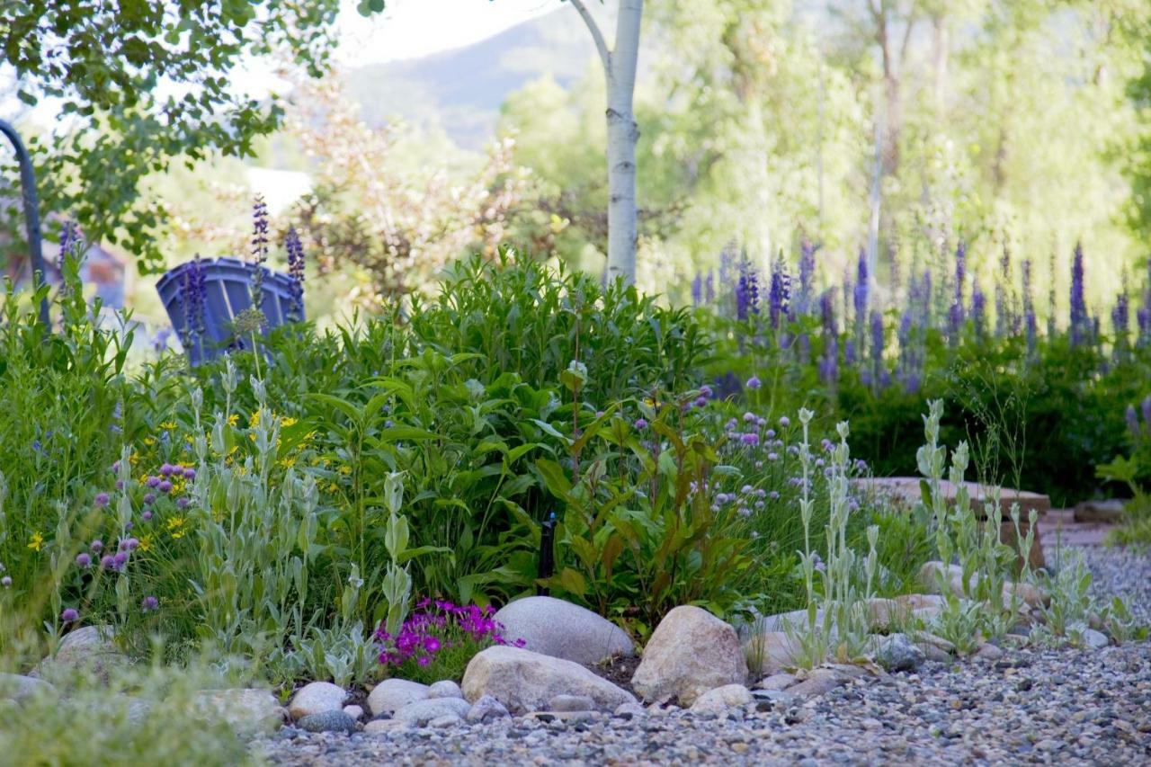 Mariposa Lodge Bed And Breakfast Steamboat Springs Zewnętrze zdjęcie